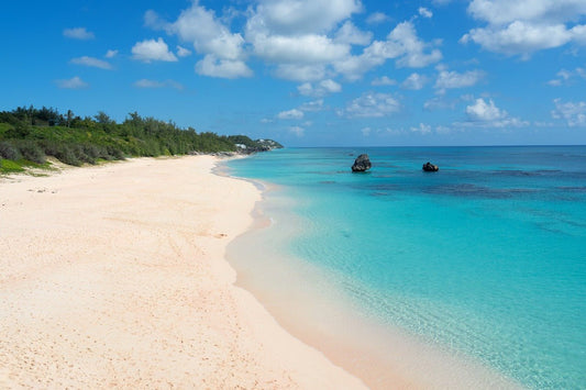Bermuda Pink Sands
