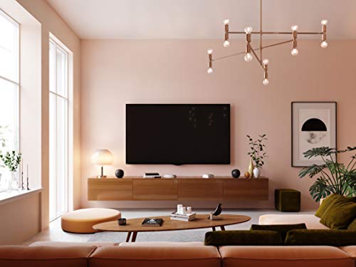 Devialet Phantom II - 95 dB - Compact Wireless Speaker - Matte Black - Devialet Phantom II - 95 dB - Compact Wireless Speaker - Matte Black - Travelking