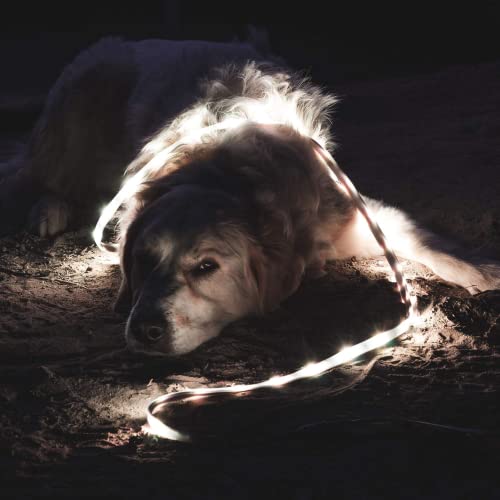 Power Practical Luminoodle Camping lighting with Battery, 5 feet - Power Practical Luminoodle Camping lighting with Battery, 5 feet - Travelking
