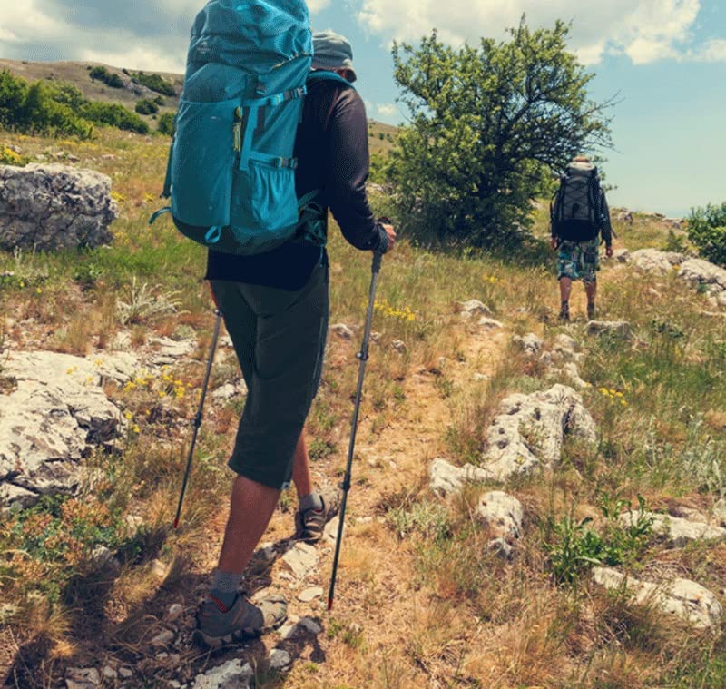 LUYILA Trekking Poles, Lightweight Telescopic Portable Carbon Fiber Hiking Stick - LUYILA Trekking Poles, Lightweight Telescopic Portable Carbon Fiber Hiking Stick - Travelking
