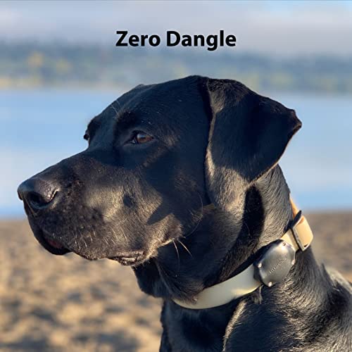 TagVault Pet: The Original AirTag Dog Collar Waterproof Mount - TagVault Pet: The Original AirTag Dog Collar Waterproof Mount - Travelking