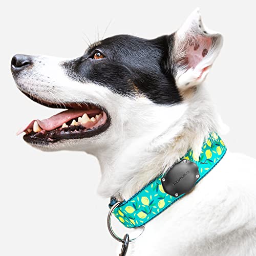 TagVault Pet: The Original AirTag Dog Collar Waterproof Mount - TagVault Pet: The Original AirTag Dog Collar Waterproof Mount - Travelking