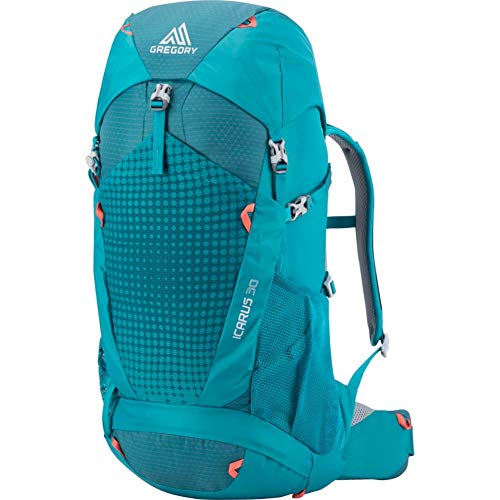 Gregory Mountain Products Icarus 30 Liter Kid's Hiking Backpack - Gregory Mountain Products Icarus 30 Liter Kid's Hiking Backpack - Travelking