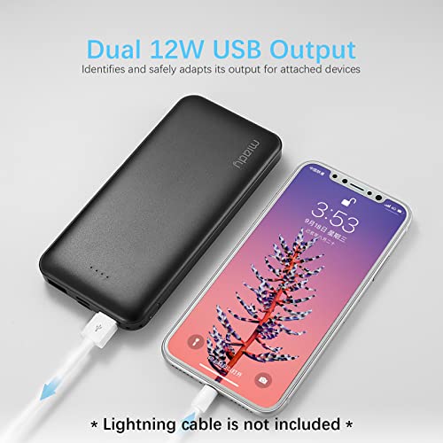 2-Pack Miady 10000mAh Dual USB Portable Charger, Fast Charging - 2-Pack Miady 10000mAh Dual USB Portable Charger, Fast Charging - Travelking