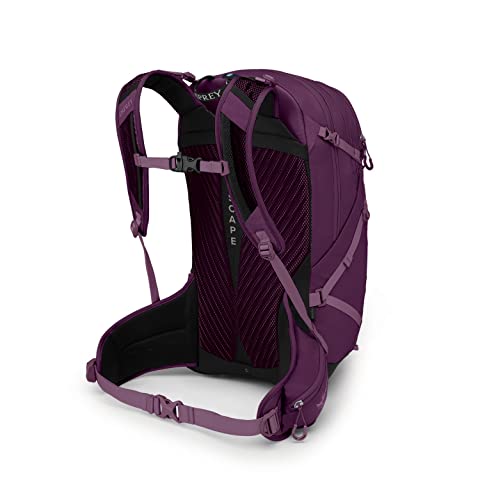 osprey 25l backpack for women Affordable Luggage & Top-Rated Travel Gear