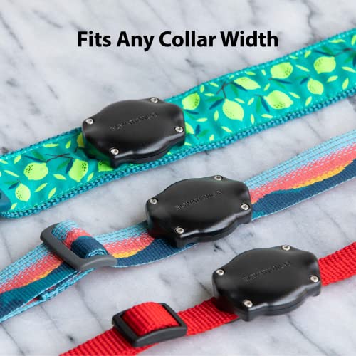 TagVault Pet: The Original AirTag Dog Collar Waterproof Mount - TagVault Pet: The Original AirTag Dog Collar Waterproof Mount - Travelking