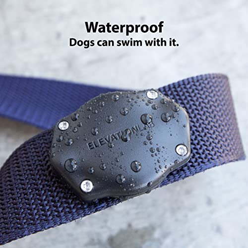 TagVault Pet: The Original AirTag Dog Collar Waterproof Mount - TagVault Pet: The Original AirTag Dog Collar Waterproof Mount - Travelking